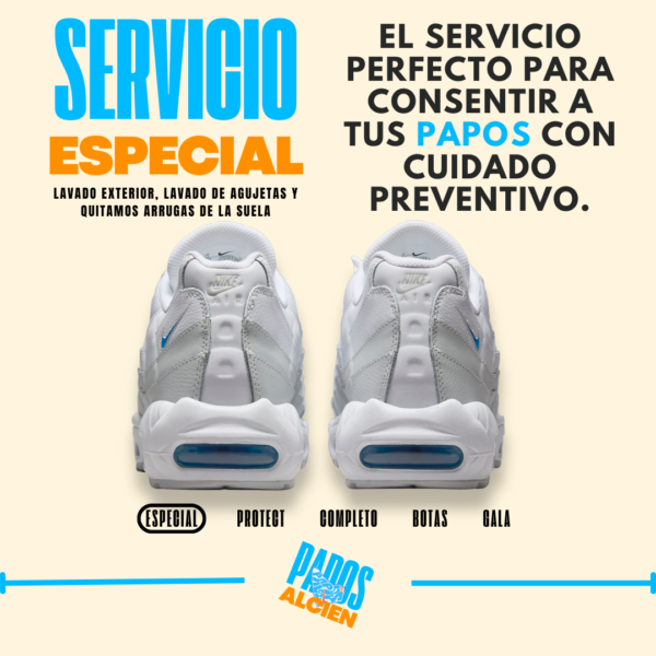 Servicio Especial
